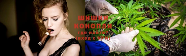 ГАЛЛЮЦИНОГЕННЫЕ ГРИБЫ Кущёвская