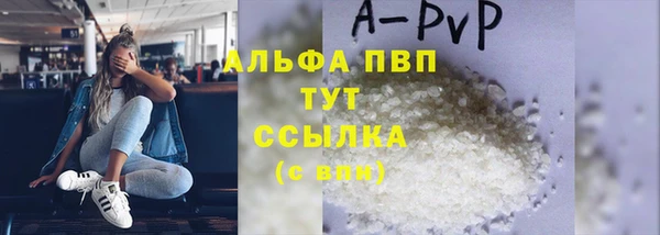 стафф Михайлов