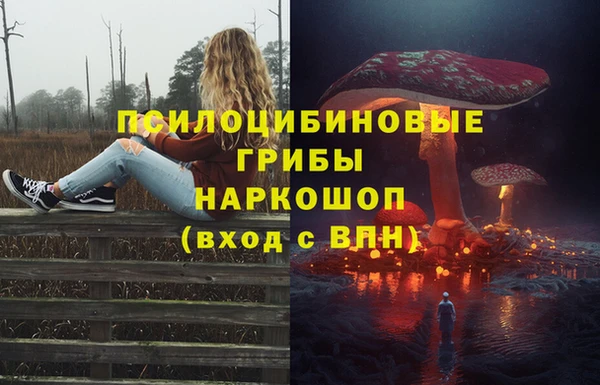 ALPHA PVP Покров