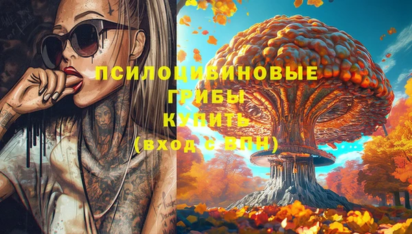 ALPHA PVP Покров