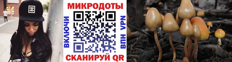 Псилоцибиновые грибы мицелий  Светлый 